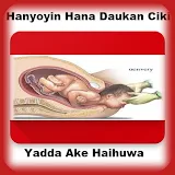 Hanyoyin Hana Daukan Ciki icon
