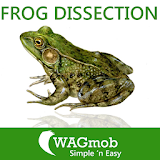 Frog Dissection for tablet icon