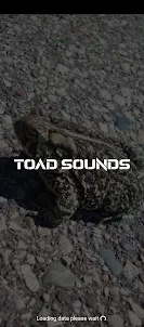 toad sounds