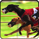 Greyhound Dog Racing 3D icon