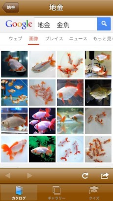 日本金魚図鑑のおすすめ画像5