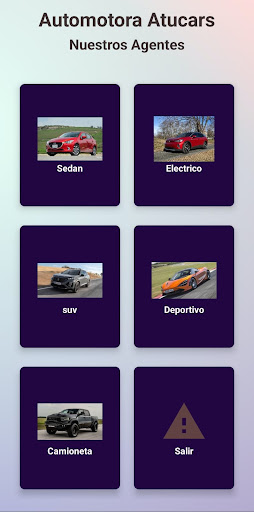 Información Automotora Screen 2