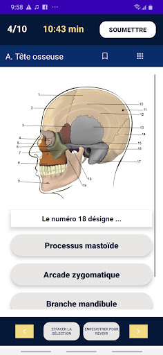 Quiz Anatomie - KaminAnatomie Screen 3