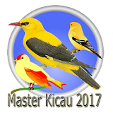 MASTER KICAU 2017 icon