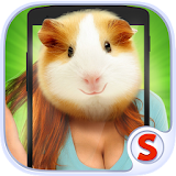 Face scanner: What hamster icon
