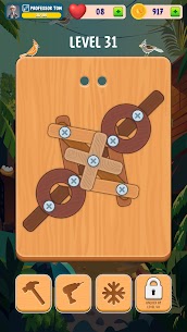 Screw, Nuts and Bolts Puzzle 3