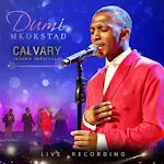 Cover Image of डाउनलोड Dumi Mkokstad Songs & Albums  APK