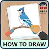 How To Draw Birds icon