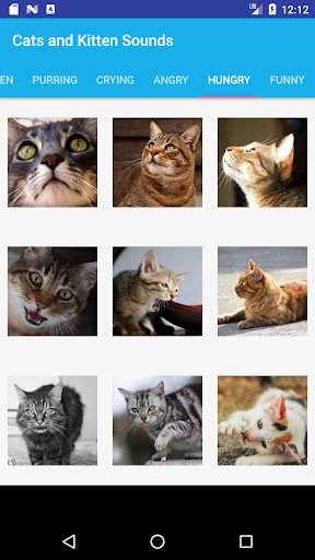 Cats and Kittens Sounds Screen 3