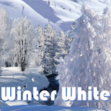 Winter White PRO LiveWallpaper icon