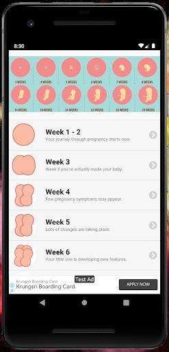 Pregnancy Tracker Week by Week