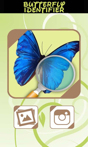 Android application Automatic Butterfly Identifier screenshort