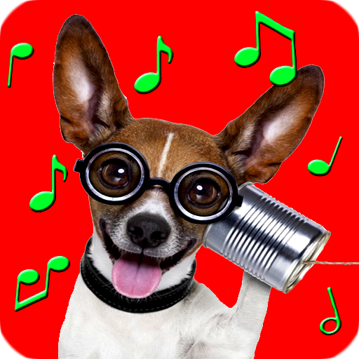 Animal Ringtones  Icon