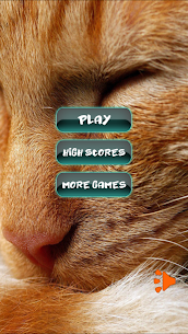 Cat Favourite Puzzles MOD + Hack APK Download 1