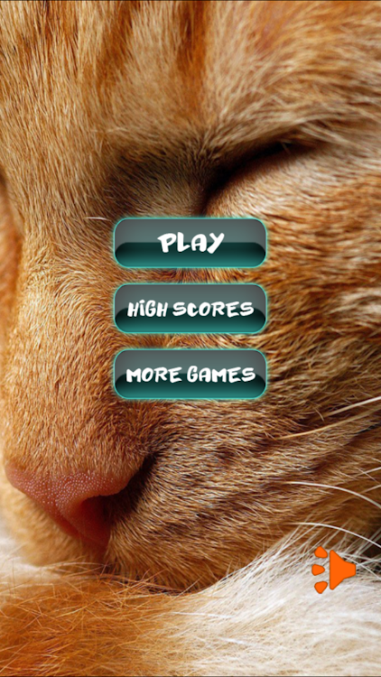 Cat Favourite Puzzles - 2.0.26 - (Android)