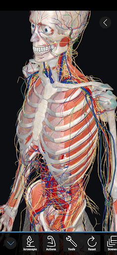 Android application 3D Organon screenshort
