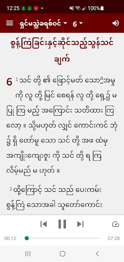 Screenshot of Burmese MS Bible