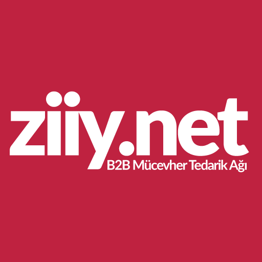 Ziiy.Net logo