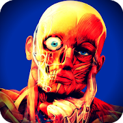 Top 46 Entertainment Apps Like Human anatomy learn your body - Best Alternatives