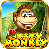 Crazy Monkey icon