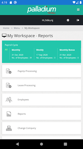 Palladium Payroll Screen 2