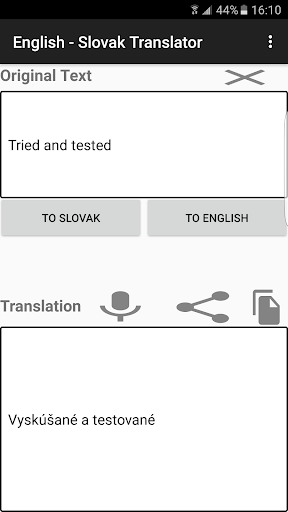 English - Slovak Translator Screen 3