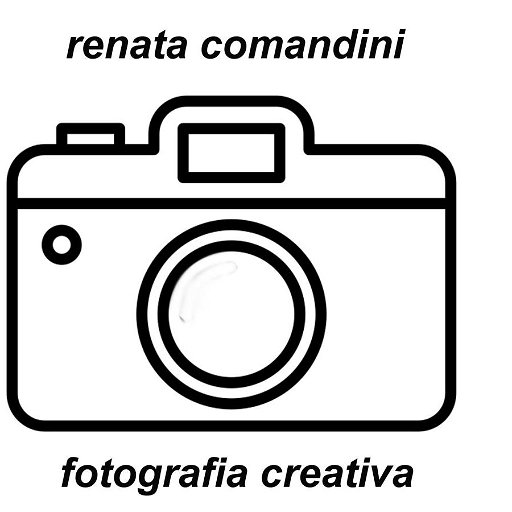 Renata Comandini logo