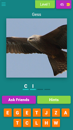Birds Quiz - Screenshot 1