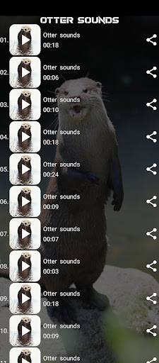 Otter sounds Screen 2