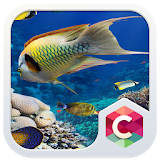 Aquarium Launcher Theme: Real Sea World Wallpaper icon