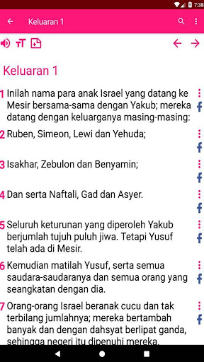 Bible in Indonesian with audio screenshot 5