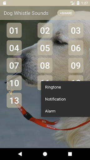 Dog Whistle Sounds Screen 2