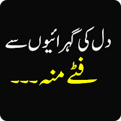 Download Funny Urdu Status (3).apk for Android 
