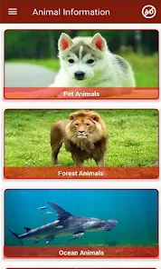 Animal Information in English - Apps on Google Play