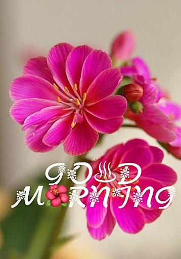 Good Morning Flowers Screen 2