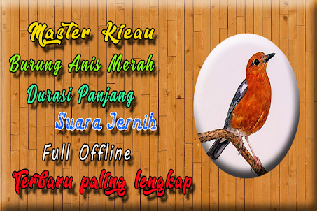 Suara Burung Anis Merah MP3