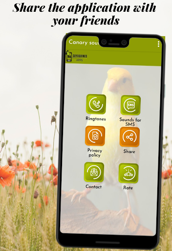 Canary bird sounds Screen 2