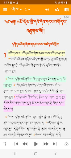 Dzongkha Bible Screen 3