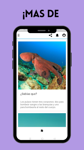 Datos curiosos del mundo Screen 2
