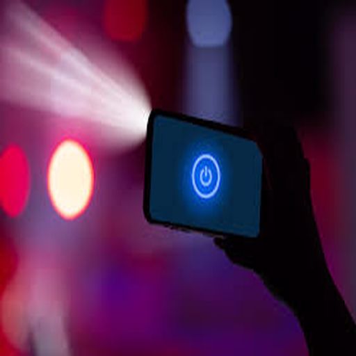 Flash Light logo