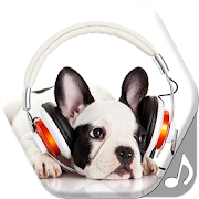 Top 39 Music & Audio Apps Like Dog Sounds Ringtones Free - Best Alternatives