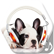 Dog Sounds Ringtones Free