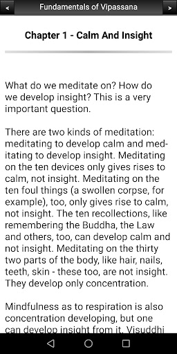 Fundamentals of Vipassana Screen 3