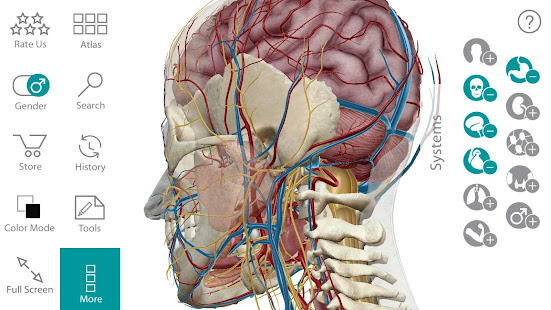 Human Anatomy Atlas 7.4.03 APK + Mod (Unlocked) for Android