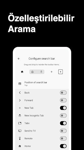 Tarayıcı ekran görüntüsü
