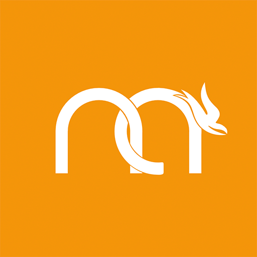 App Nuovaalleanza logo