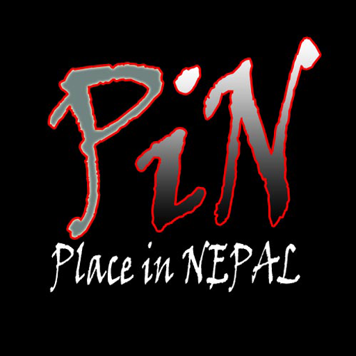 PIN logo