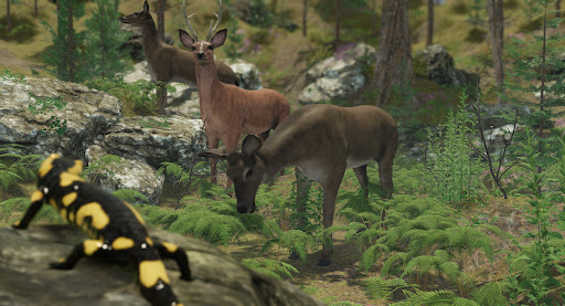 VR ZOO Safari Park Animal Game Screen 2