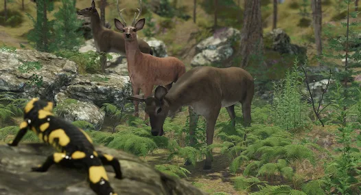 VR ZOO Safari Park Animal Game Apps on Google Play