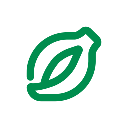 Papayr logo